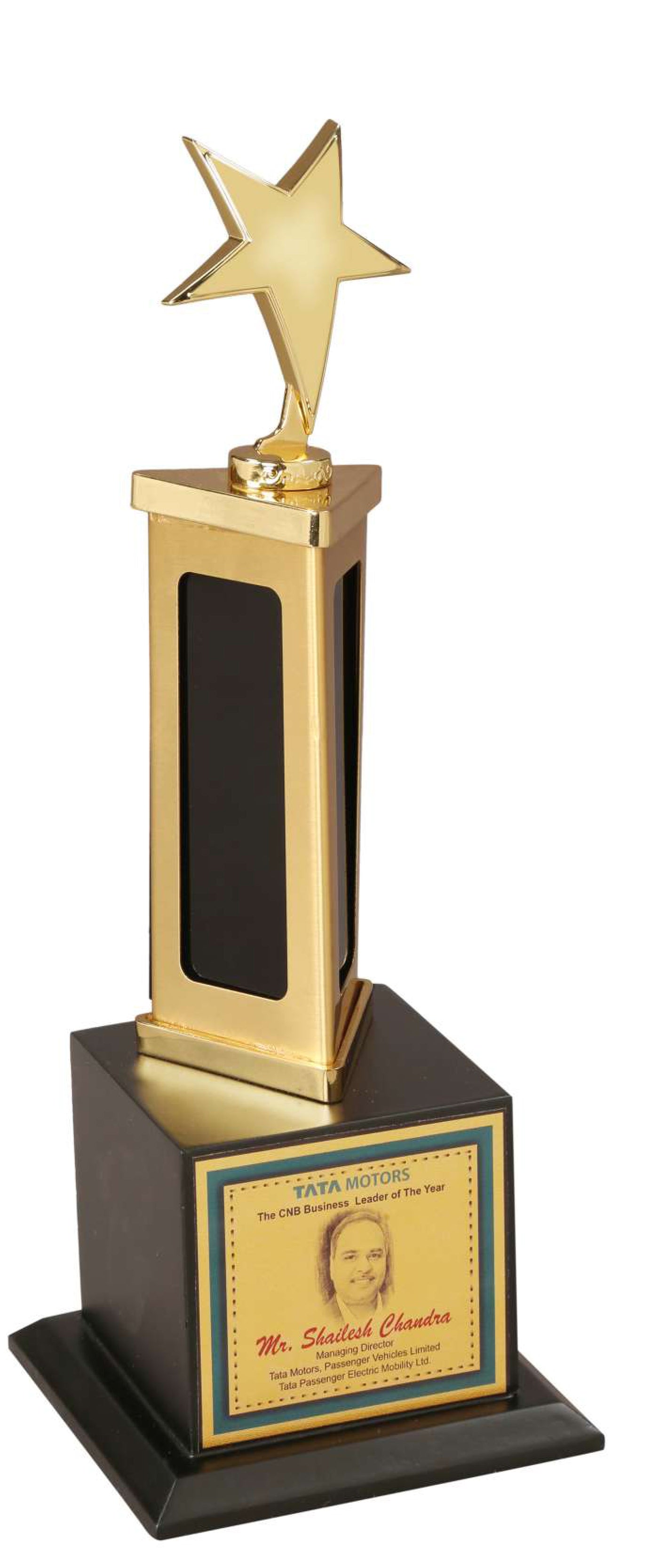 Star Metal Trophy (11")