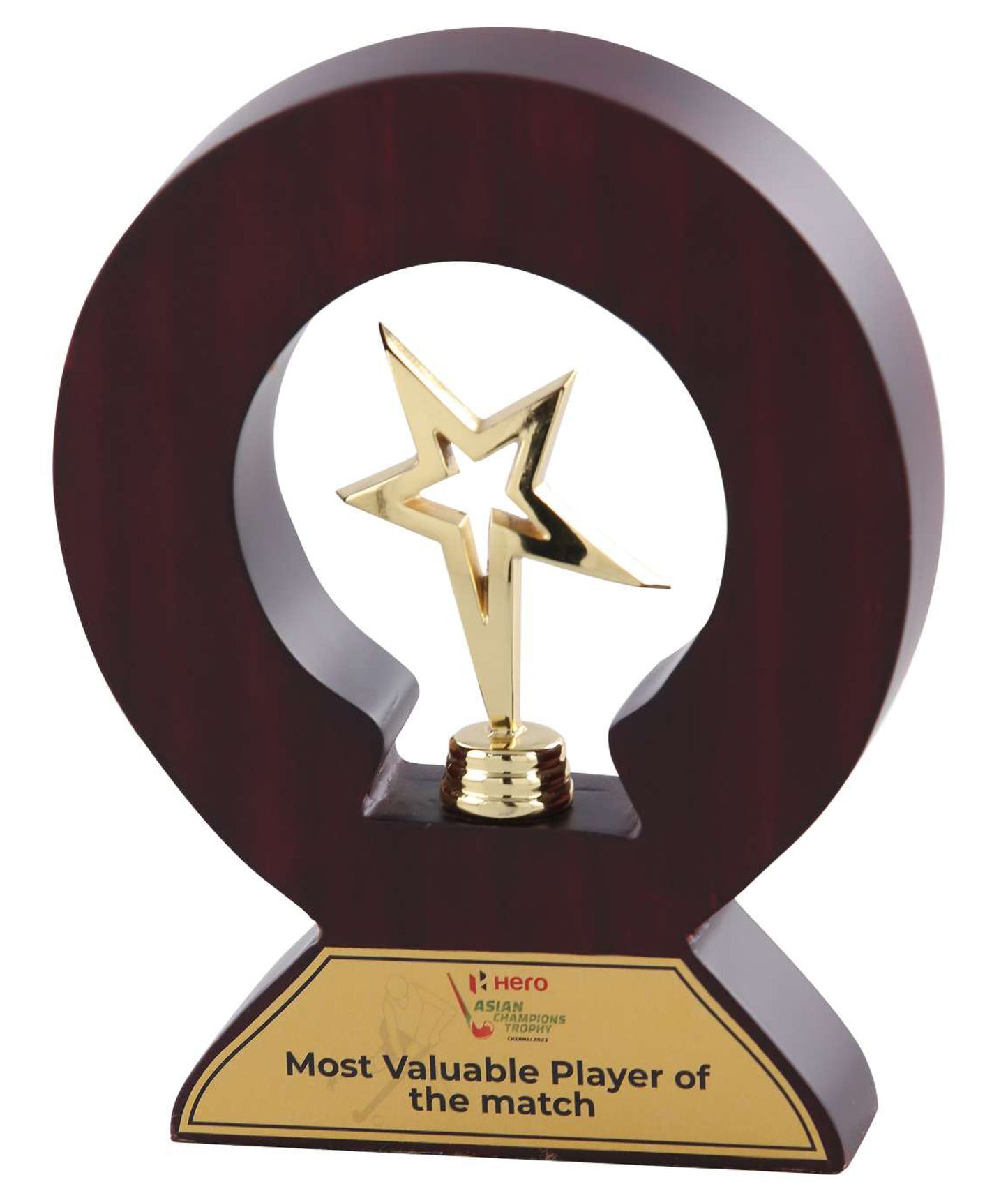 Metal Star Wooden Mememto (8.5")