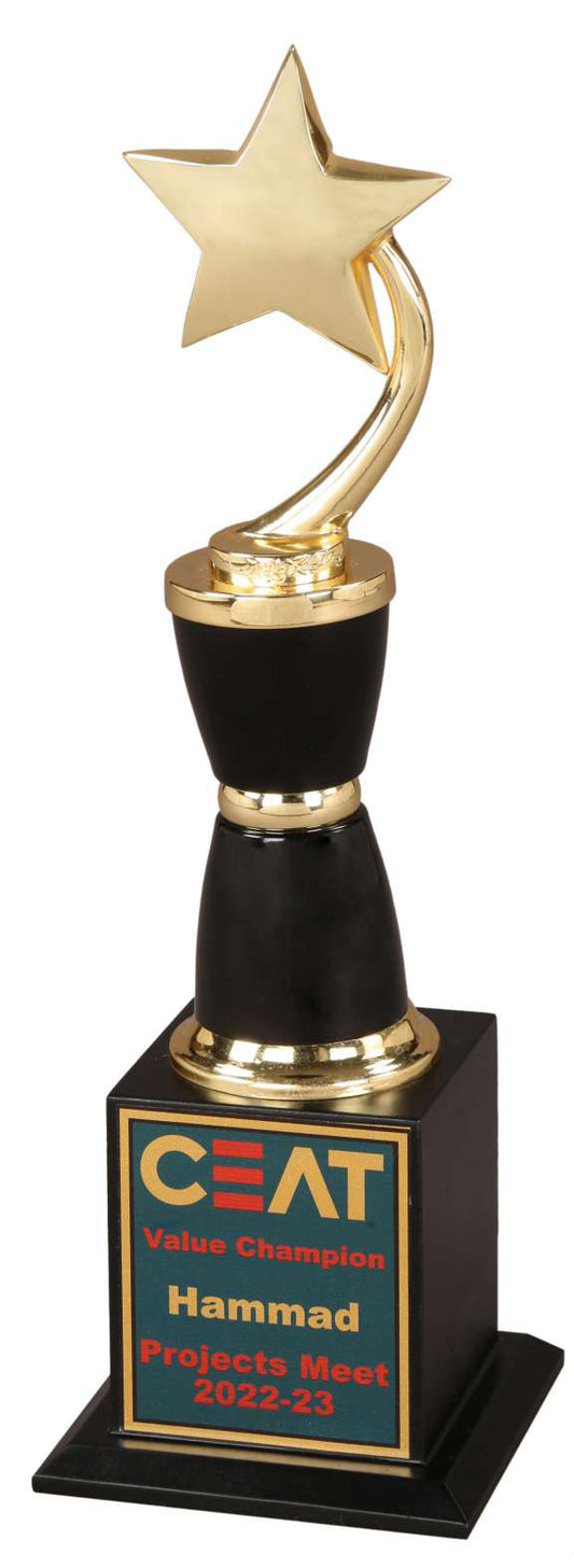 Metal Star Trophy (13 inch) with Customisation